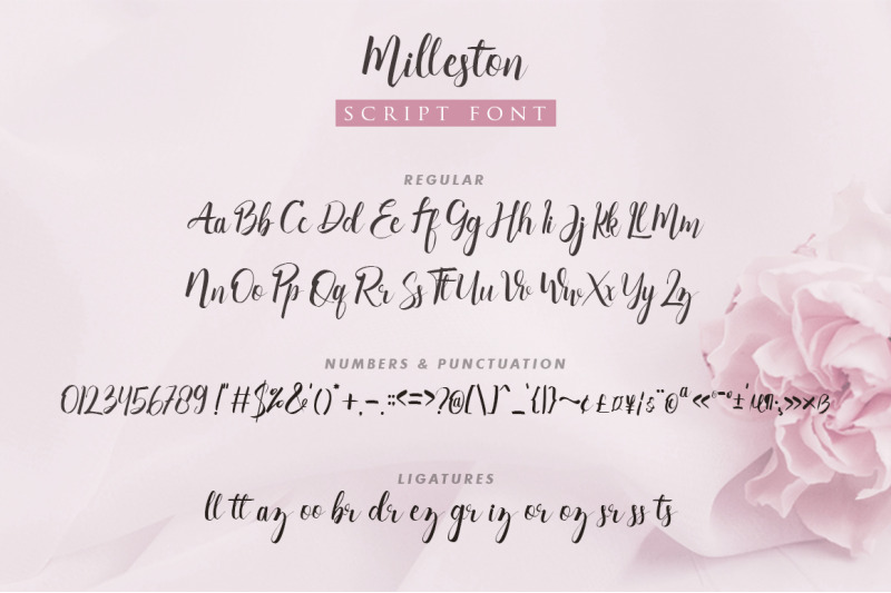 milleston-script-font