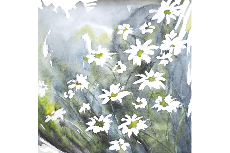 chamomile-watercolor-background