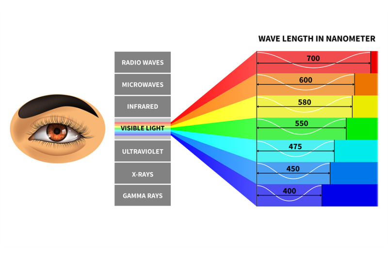 visible-light-spectrum-color-waves-length-perceived-by-human-eye-rai