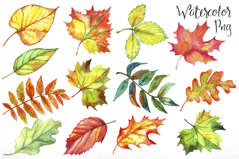 autumn-leave-watercolor