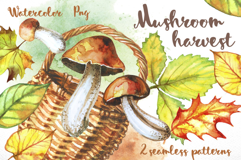 mushroom-harvest-watercolor