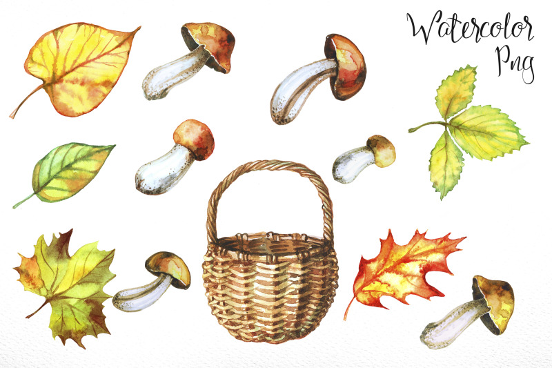 mushroom-harvest-watercolor