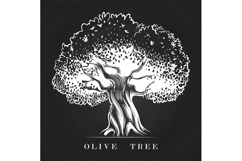 hand-drawn-old-olive-tree-on-chalkboard