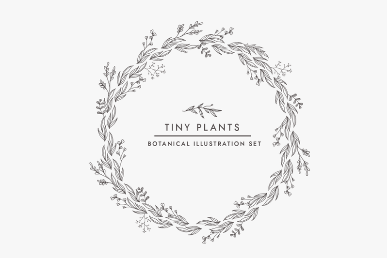 tiny-plants-illustration-bundle