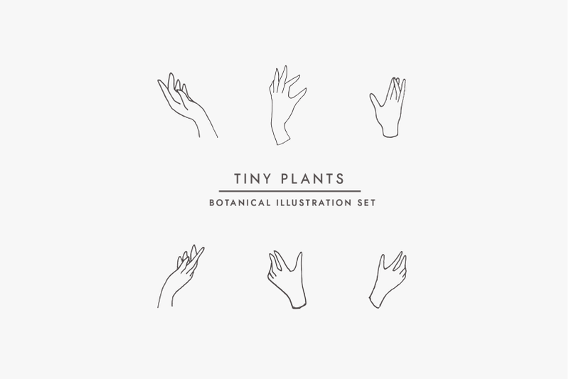 tiny-plants-illustration-bundle