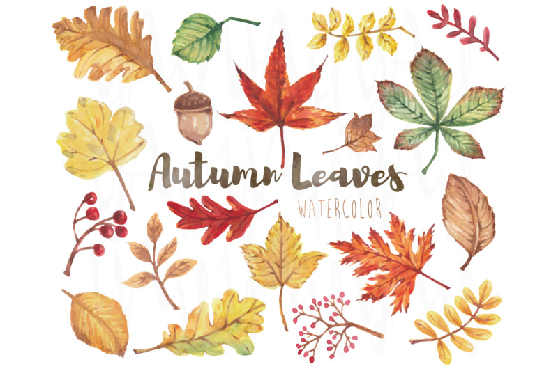 watercolor-autumn-leaves-set