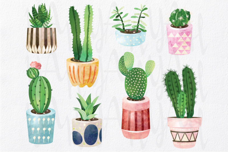 watercolor-cactus-collections