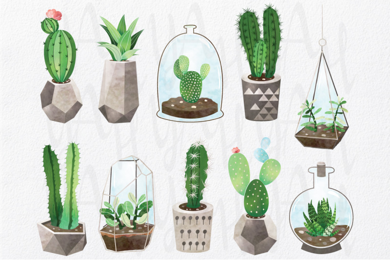 cactus-watercolor-collections-set