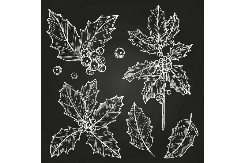 hand-drawn-winter-holidays-botanical-decorations-vector-set