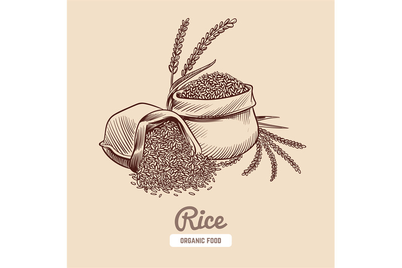 rice-background-hand-drawn-bowl-with-rice-grains-and-ears-japanese-f