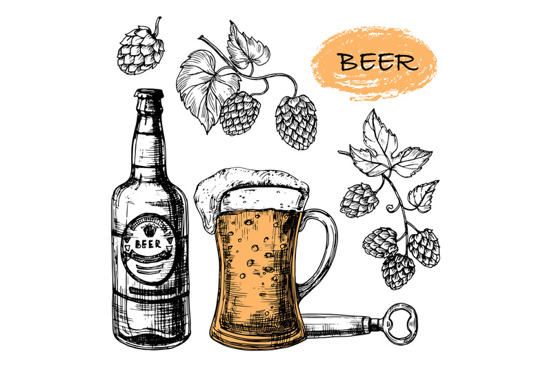 sketched-beer-collection-with-glass-bottle-and-hop-vector-set