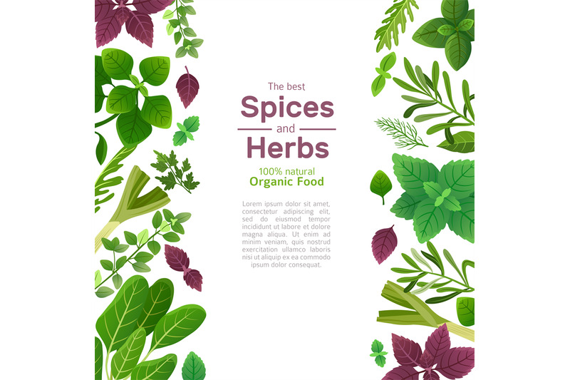 spices-and-herbs-basil-mint-spinach-coriander-parsley-dill-and-thyme