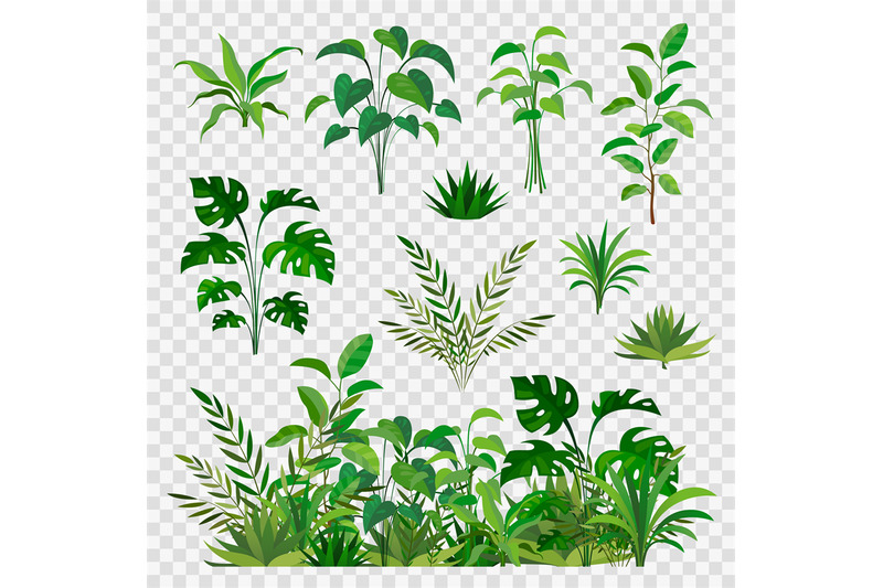 green-herbal-elements-decorative-beauty-nature-ferns-and-leaf-plants