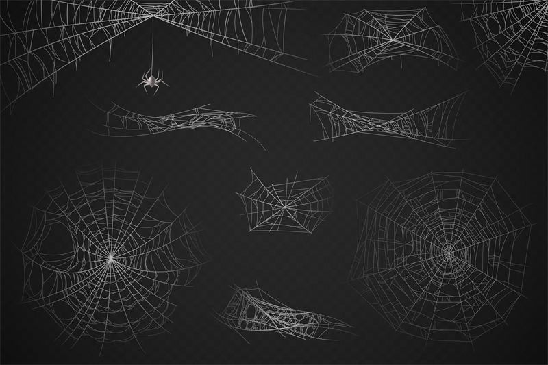 spider-web-cobweb-silhouette-for-halloween-decoration-gossamer-trap