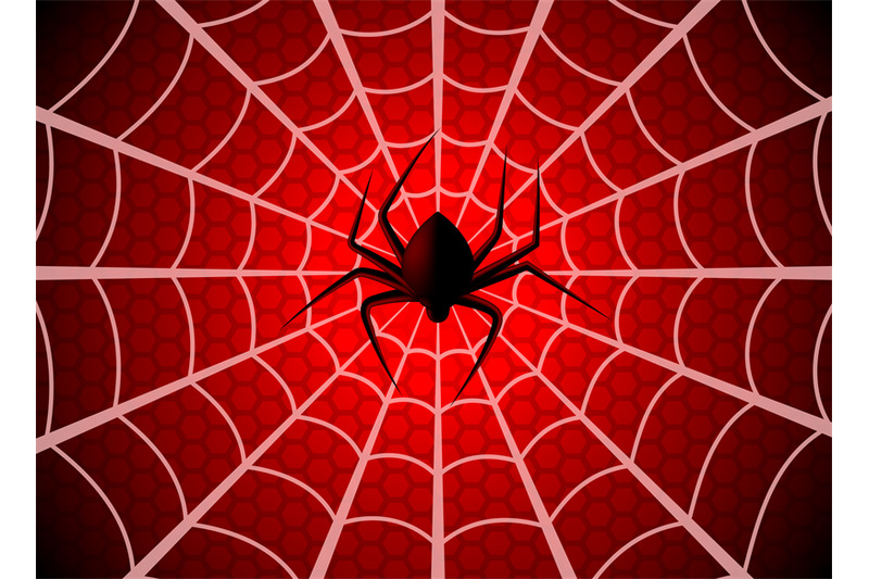 spider-web-cobweb-trap-gossamer-halloween-graphic-silhouette-spider