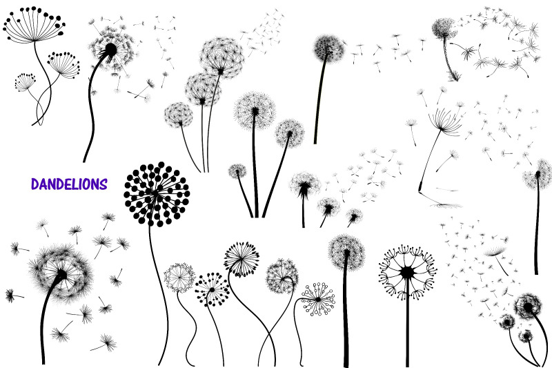 dandelions-overlays-and-word-art-ai-eps-png