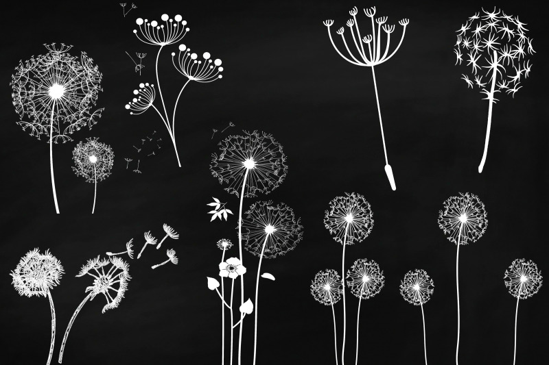 chalk-dandelions-and-overlays-clip-art