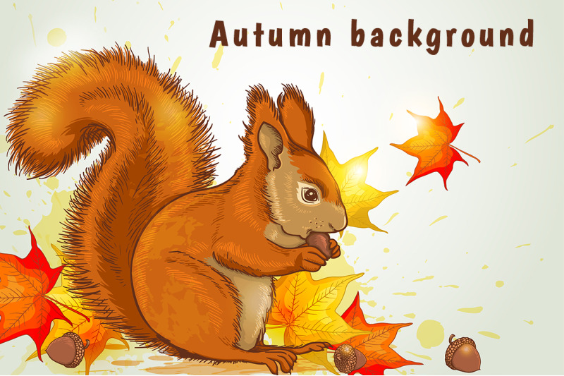autumn-background-with-squirrel