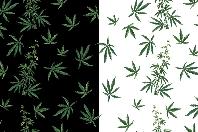 cannabis-patterns