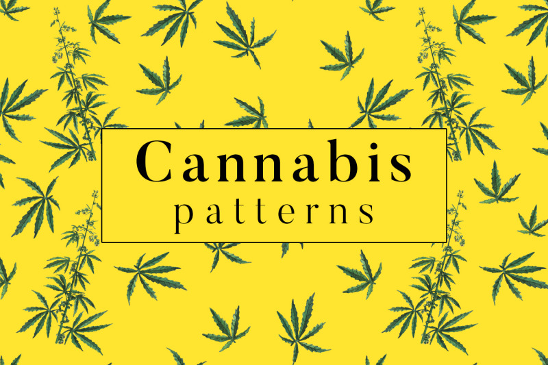 cannabis-patterns
