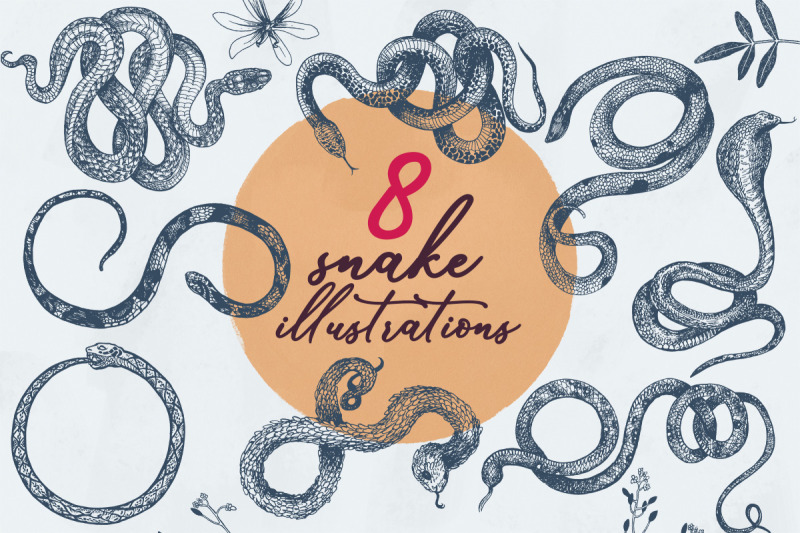 8-snake-illustrations