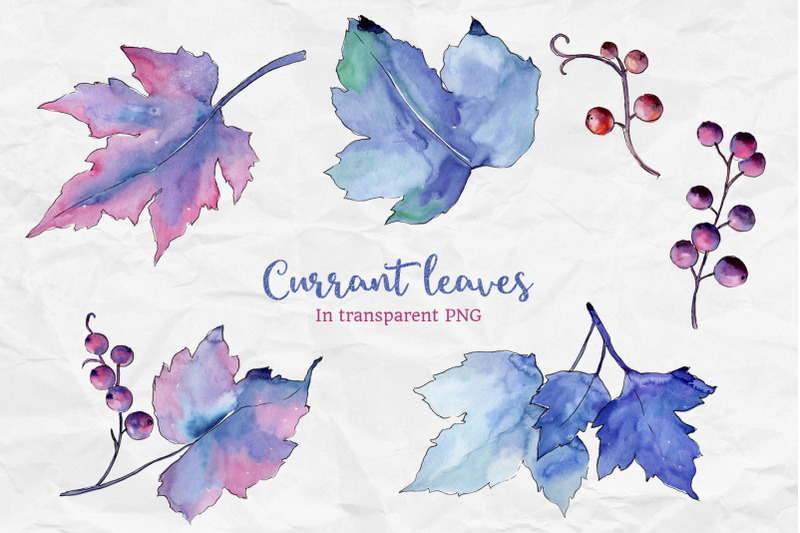 blue-watercolor-currant-leaf-illustration-png