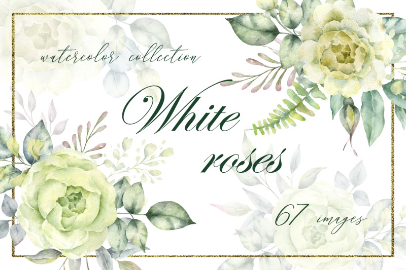 white-roses-watercolor-clipart-collection-with-white-roses-and-eucalyp