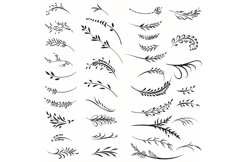 collection-of-vector-florals