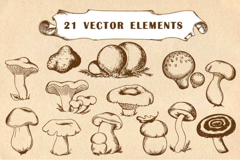 vintage-hand-drawn-mushrooms