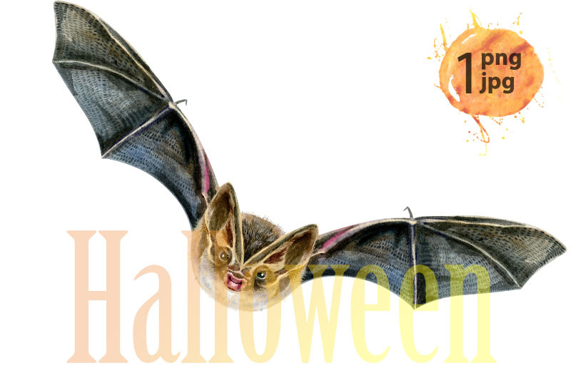 watercolor-illustration-of-a-bat