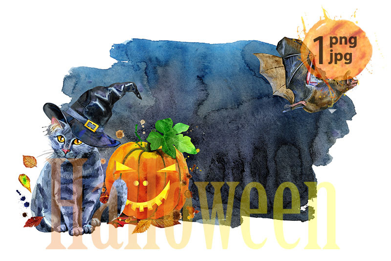 a-black-cat-in-a-witch-039-s-hat-next-to-a-pumpkin
