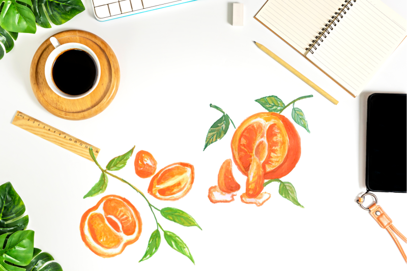 watercolor-oranges-tangerine-illustrations
