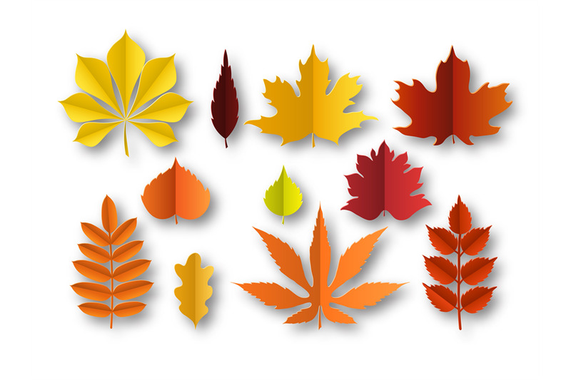 paper-autumn-leaves-beautiful-fall-colourful-foliage-orange-red-and