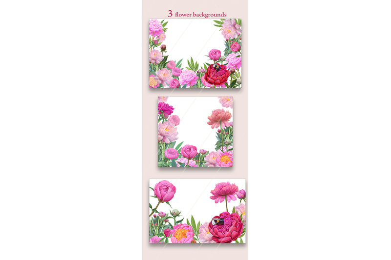 pink-peonies-clipart-floral-elements-34-png