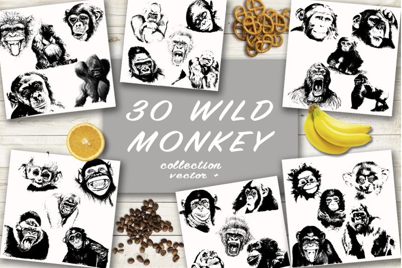 30-wild-monkey-silhouette-vector