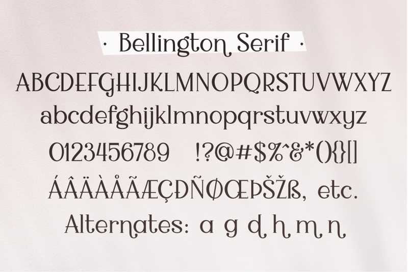 bellington-a-charming-serif-font