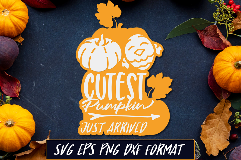 cutest-pumpkin-just-arrived-thanksgiving-svg-cut-file