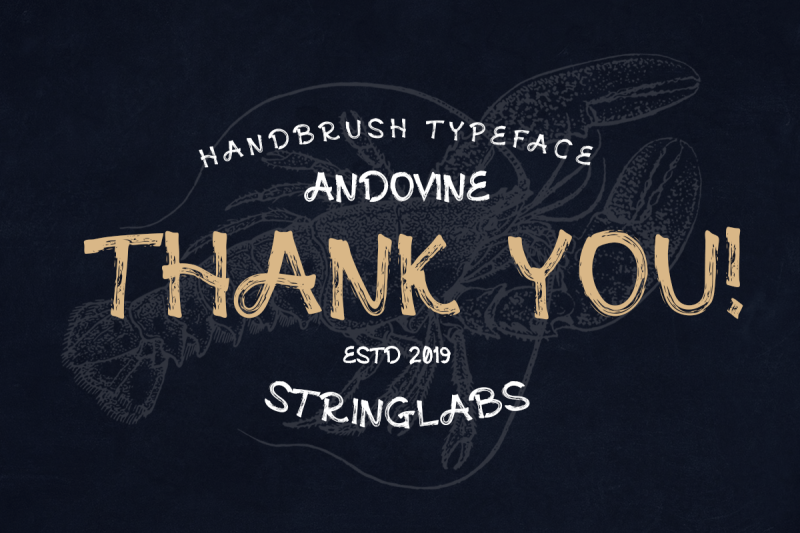 andovine-handbrush-typeface