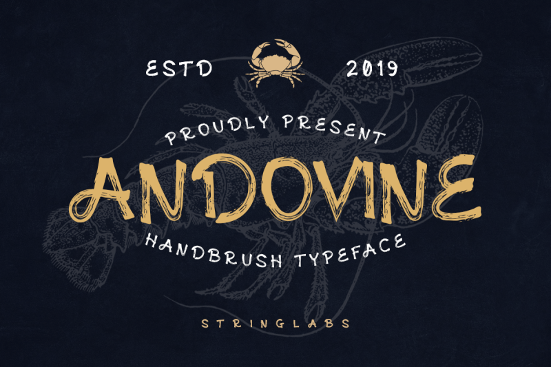 andovine-handbrush-typeface
