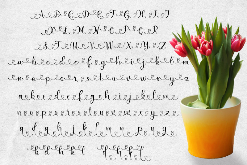 hamedia-script-font