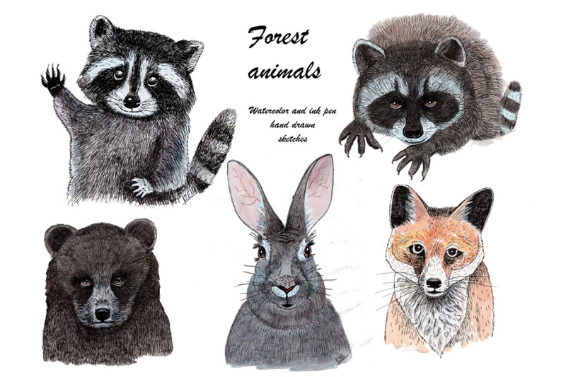 forest-animals-sketches