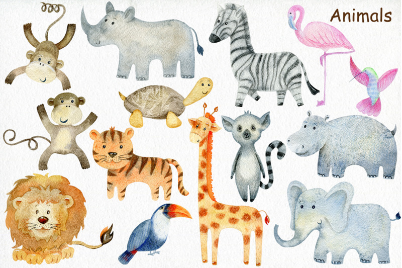 safari-watercolor-collection