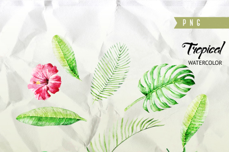 tropical-leaves-watercolor-clipart