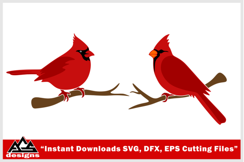 bird-cardinal-svg-design