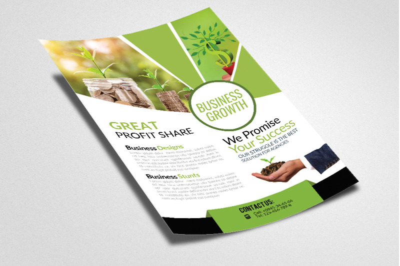 business-profit-flyer-template