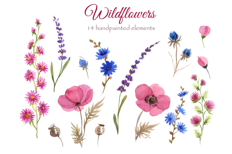 wildflowers-watercolor-collection