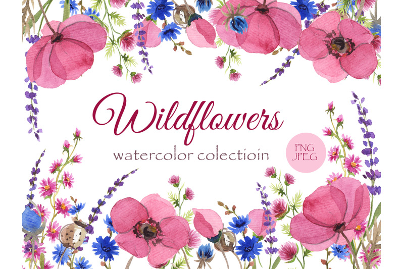 wildflowers-watercolor-collection