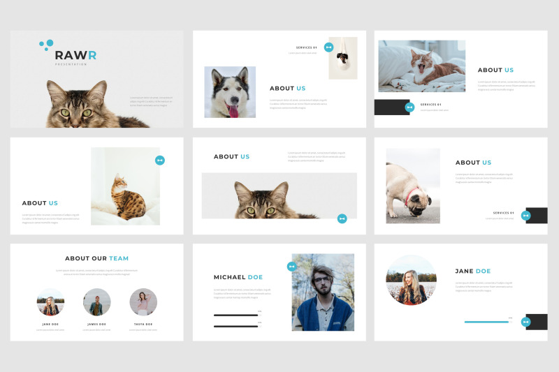 rawr-a-pet-service-powerpoint-template