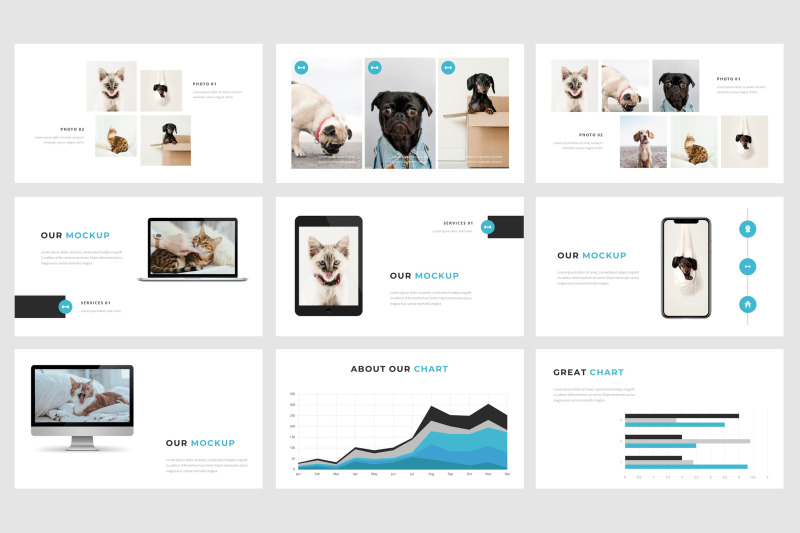 rawr-a-pet-service-powerpoint-template