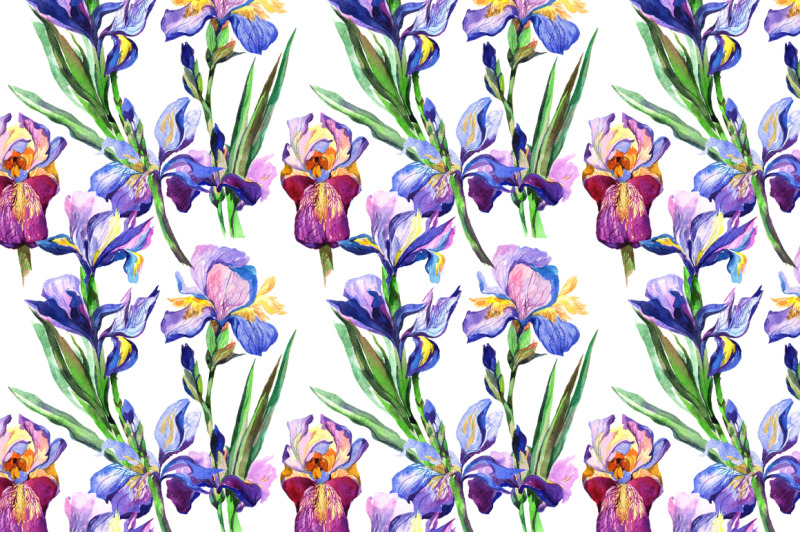 blue-irises-png-watercolor-flowers-set